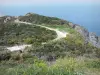 Landschappen van de Pyrénées-Orientales - Vermilion Coast: pad omzoomd met vegetatie met uitzicht op de zee