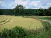Landschappen van de Sarthe - Landweg bekleed met velden