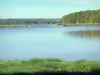 Landschappen van de Yonne - Lac du Bourdon in een groene omgeving