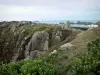 Landtong van Grouin - Rocks, gras, planten en spoor