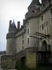 Langeais城堡 - 吊桥和堡垒的塔