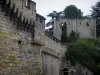 Langeais城堡 - 堡垒的城墙和地牢的遗骸（废墟）