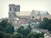 Langres - Kathedraal van St. Mamas, huizen en ommuurde oude stad