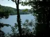 Meer van le Laouzas - Bomen op de voorgrond, het meer en bos (natuurpark van de Haut-Languedoc)