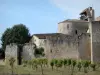 Larressingle - Église romane fortifiée (église Saint-Sigismond), remparts (fortifications) du village médiéval et pieds de vigne