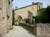 Larressingle - Façades de pierres du village médiéval