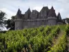 Las viñas de Bergerac - Guía gastronomía, vacaciones y fines de semana en Dordoña