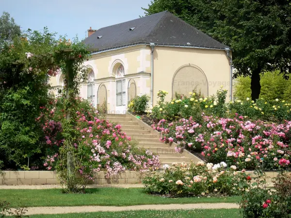 Laval - Jardin de la Perrine : orangerie (lieu d'expositions temporaires), et roseraie (rosiers en fleurs)