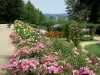 Laval - Jardin de la Perrine: rose en rozen in bloei