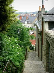 Laval - Escalier des Éperons avec vue sur les toits de Laval