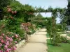 Laval - Promenade dans la roseraie en fleurs du jardin de la Perrine