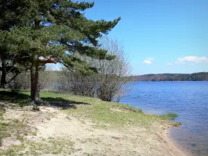 Meer van Lavalette - Bomen aan de rand van het water