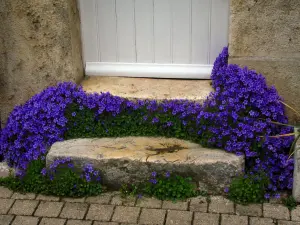 Lavardin - Petite marche fleurie d'une entrée de maison