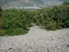 Lavastroom van Roquelaure - Clapas van Thubiès, basalt scree