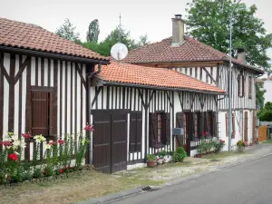 Lévignacq - Maisons à pans de bois ornées de fleurs