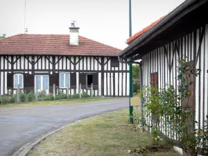 Lévignacq - Maisons à pans de bois du village landais