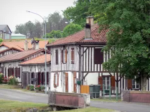 Lévignacq - Rue et maisons à pans de bois du village landais