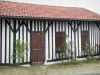 Lévignacq - Maison à pans de bois ornée de rosiers en fleurs