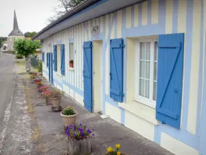 Lévignacq - Maison blanche aux colombages et volets bleus avec son entrée décorée de pots de fleurs ; clocher-donjon de l'église Saint-Martin en arrière-plan