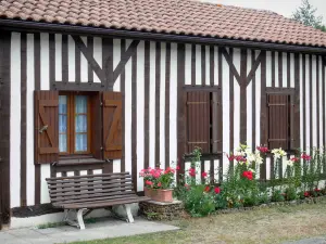 Lévignacq - Maison à pans de bois, banc et fleurs