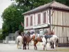 Lévignacq - Paarden wandelen met een stop bij een huis vakwerk dorp Lévignacq