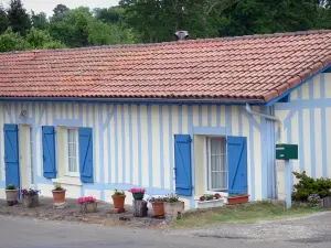 Lévignacq - Maison blanche aux colombages et volets bleus ornée de pots de fleurs
