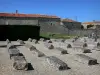 Ligné - Cimetière des Chevaliers (Templiers) : pierres tombales