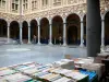 Lille - Vieille Bourse : stand de livres en premier plan, maisons (architecture flamande) et cloître (cour intérieure)