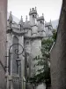 Lille - Cathédrale Notre-Dame de la Treille et lampadaire