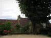 Limeuil - Arbre, banc, arbustes et maisons du village médiéval (cité médiévale), en Périgord