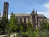 Limoges - St. Stephen's kathedraal in de gotische stijl en de tuinen van de bisschop (Botanische Tuin)