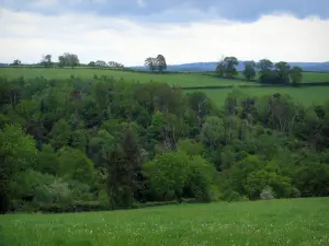 Limousin landscapes - Meadows, trees and clouds in the sky