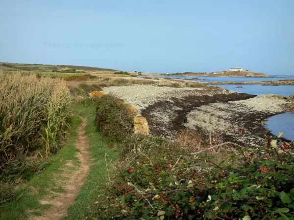 Litoral do Cotentin - Route des Caps: caminho do litoral, vegetação e mar (o canal); paisagem da península Cotentin