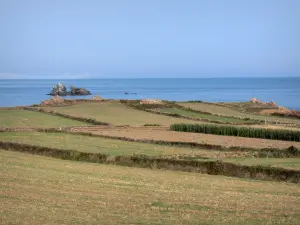 Litoral do Cotentin - Estrada Caps: campos com vista para o mar (La Manche); paisagem da península Cotentin