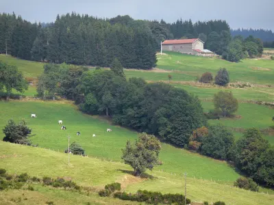 Livradois-Forez Regional Nature Park