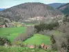 Livradois-Forez Regional Nature Park - Wooded hills, tree-lined meadows and houses in the hamlet of La Vernède, in the town of Saint-Didier-sur-Doulon