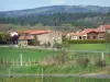 Livradois-Forez Regional Nature Park - Houses in the village of Javaugues in a green setting