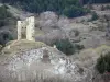 Llo - Tour del Vacaro, wachttoren, en de omliggende platteland, in het hart van Cerdanya, in het Regionale Natuurpark van de Catalaanse Pyreneeën