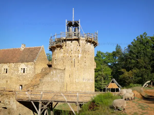 Local medieval de Guédelon - Ovelhas perto do castelo fortificado