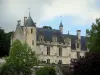 Loches - Logis royal et arbres