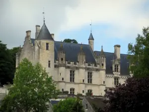 Loches - Koninklijk Huis en bomen