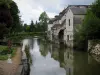 Loches - Rivière (l'Indre), arbres et maisons au bord de l'eau