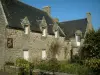 Locronan - Stenen huis versierd met een tuin met struiken en planten