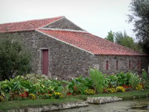 Logis de la  Chabotterie - Gemeenschappelijke en bloemen