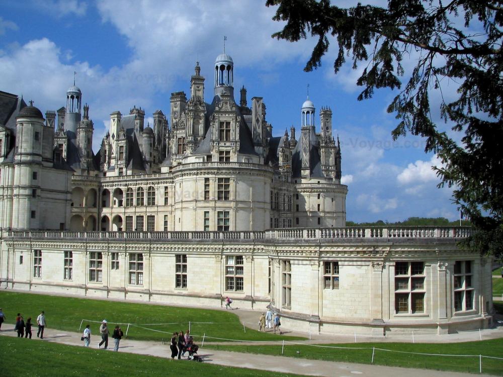 Guide du Loir-et-Cher - Château de Chambord - Branches d'un arbre en premier plan, château Renaissance, allée bordée de pelouses et nuages dans le ciel bleu