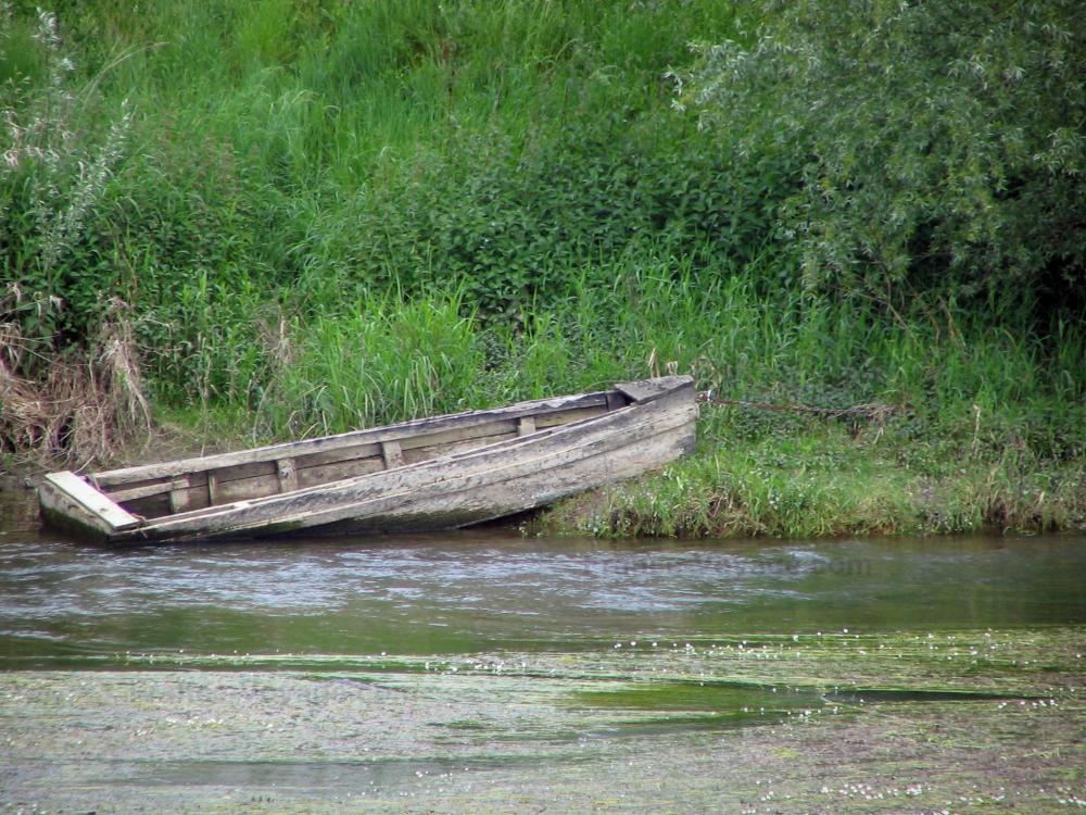 Guide du Loir-et-Cher - Paysages du Loir-et-Cher - Barque en bois au bord de la rivière