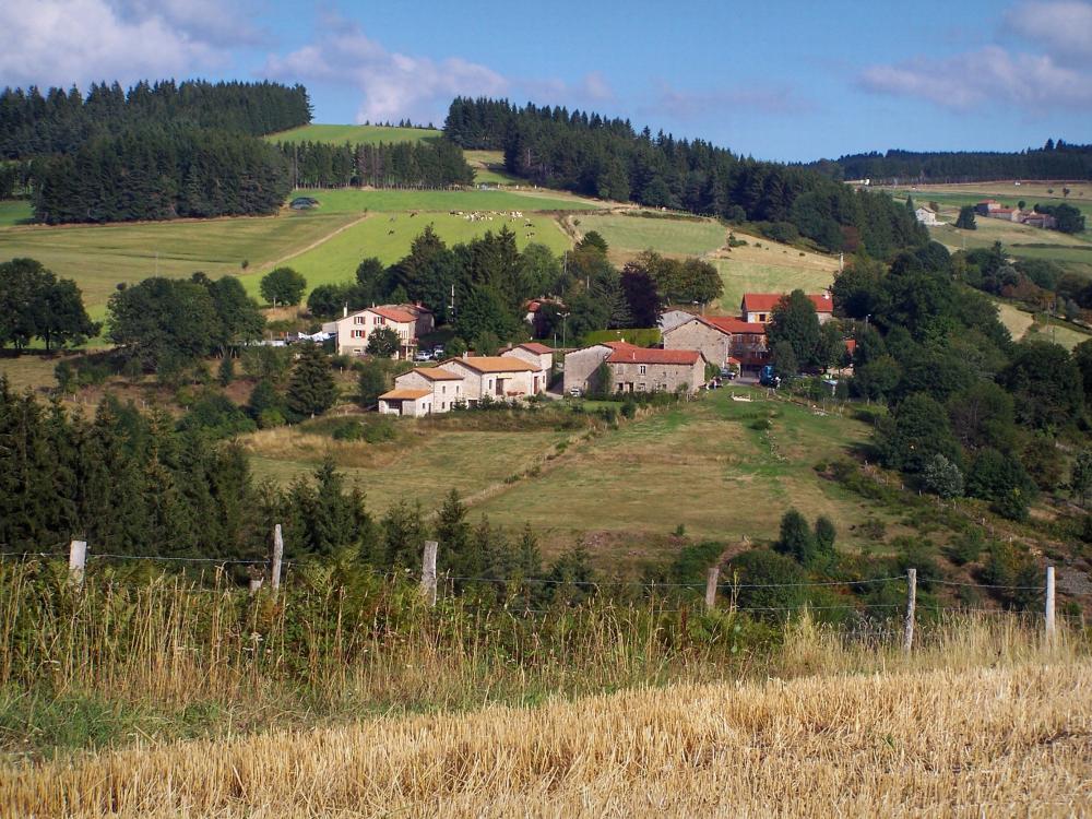 Guide de la Loire - Paysages de la Loire - Massif du Pilat (Parc Naturel Régional du Pilat) : pâturages, maisons et arbres