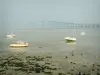 Loire-Atlantique沿海的风景 - 小船退潮，海藻和圣纳泽尔桥