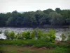 Loire Valley - Bank, the Loire River and trees along the water