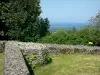 Loma de Montaigu - Ruinas de la ermita en la cima de la colina, los árboles y el paisaje de fondo Coëvrons